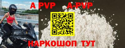 спиды Кузнецк