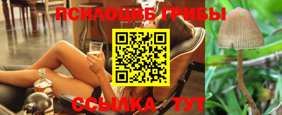 Галлюциногенные грибы Cubensis Бийск